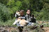 ENFANT ET CHIEN 460